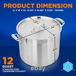 12-Quart Stainless Steel Stockpot 18/8 Food Grade Heavy Duty Large 12 Quart