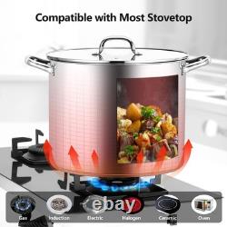 20 Quart Stainless Steel Stock Pot with Lid, Heavy Duty Induction Cookware, Cann