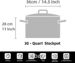 2616 Standard Professional Grade Lid 30 Quart Stainless Steel Stockpot, Silver