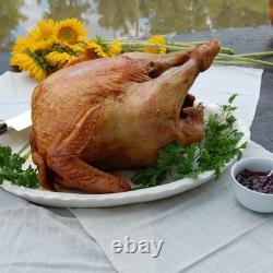 32 Quart Stainless Steel Turkey Fryer 59K BTU Round Burner Up to 18 lb Birds