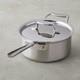All-clad Bd55203 D5 Brushed 3-qt Sauce Pan With Lid (scratched)