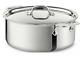 All-clad Stainless Steel Compact Tri-ply Bonded 5-qt Stock Pot With Lid