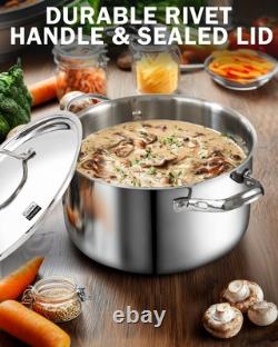 Multi-Ply Clad Stainless Steel Stock Pot, 7-Quart Pasta Cooking Canning Dutch