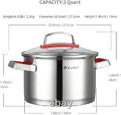 NANFANG BROTHERS 3 Quart Stainless Steel Stock Pot with Glass Lid 316 Food Grade