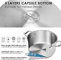 Stainless Steel Stock Pot 6 Quart Stockpot with Stainless Steel Handles Capsule