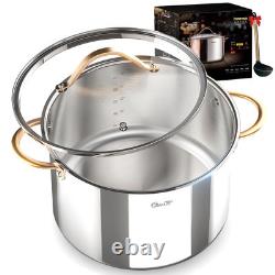 Stock Pot 12 Quart, 18/10 Tri-Ply Stainless Steel All Clad Stock Pot with Lid