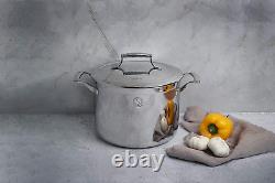 Tri-Ply Stainless Steel 8-Quart Stock Pot with Lid, Induction-Ready, Dishwasher