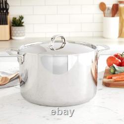 Viking 12 Quart Stainless Steel Stock Pot with Lid Induction Oven Dishwasher