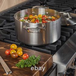 Viking Professional 5-Ply Stainless Steel Stockpot with Lid, 6 Quart