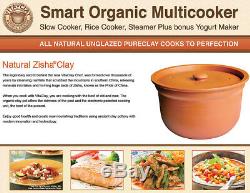 VitaClay Smart Organic Multicooker & Clay Insert Oval, 8 Cup Dry / 4.2-Quart