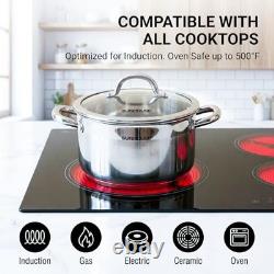 Whole-Clad 12-Quart Stainless Steel Stock Pot with Lid 12 Quarts