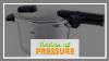 Avis Sur Fissler Vitaquick Pressure Cooker Stainless Steel Induction 8 5 Quart Silver