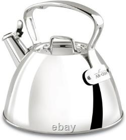 Bouilloire en inox élégante de 2 quarts, compatible lave-vaisselle et prête pour induction