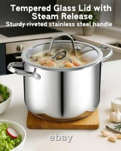 Casserole en acier inoxydable Cooks Standard de 8 pintes avec couvercle en verre, grande cocotte hollandaise