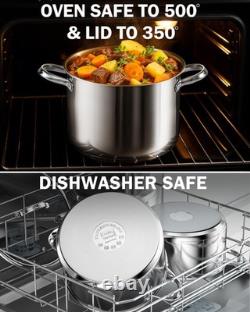 Casserole en acier inoxydable Cooks Standard de 8 pintes avec couvercle en verre, grande cocotte hollandaise