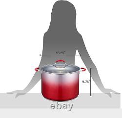 Ensemble de pots de mise en conserve en acier inoxydable de 20 pintes. Comprend un support de mise en conserve, des pinces et un élévateur de bocaux.