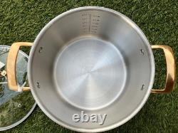 VIKING Casserole en Acier Inoxydable Noir et Cuivre de 8 Qt avec Couvercle en Verre